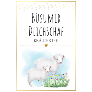 Nr.48 Büsumer Deichschaf