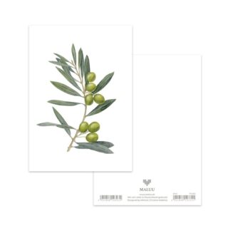 Postkarte Green Olives