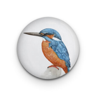 Dekomagnet Kingfisher