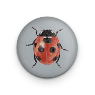 Dekomagnet Lucky Bug