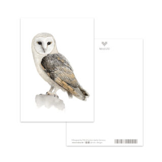Postkarte Bright Owl