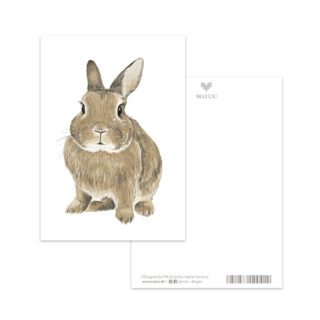 Postkarte Brown Rabbit