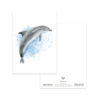 Postkarte Happy Dolphin