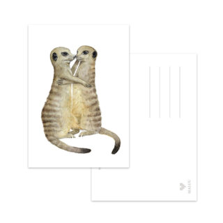 Postkarte Meerkats