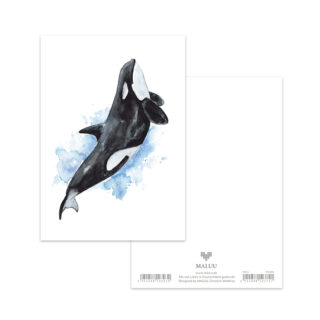 Postkarte Orca Splash