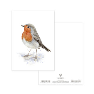 Postkarte Robin Redbreast