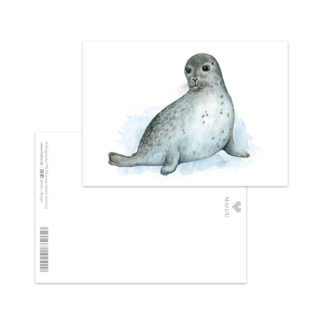Postkarte Sandy Seal