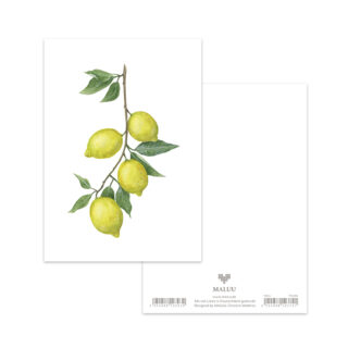 Postkarte Sunny Lemons