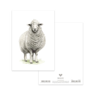 Postkarte Woolly Sheep