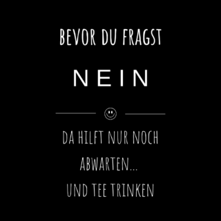 SCHWARZER HUMOR TEE; BEVOR DU FRAGST NEIN