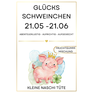 KLEINE NASCHI TÜTE FRUCHTGUMMI STERNZEICHEN GLÜCKS SCHWEINCHEN